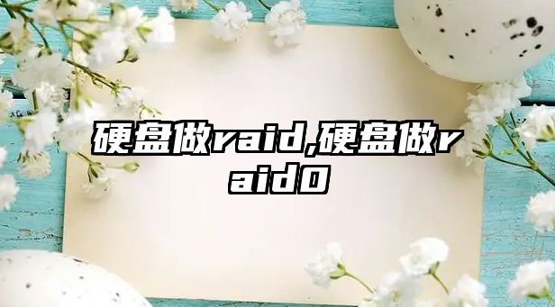 硬盤做raid,硬盤做raid0