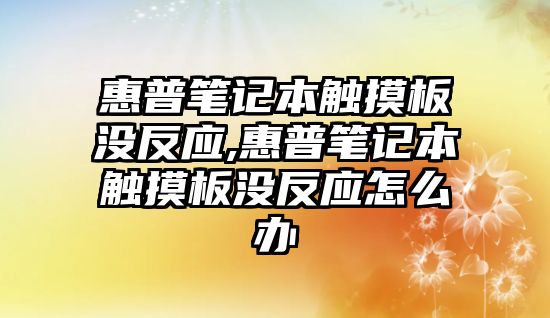 惠普筆記本觸摸板沒反應,惠普筆記本觸摸板沒反應怎么辦