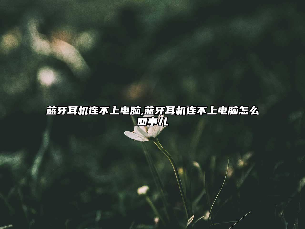 玉翠科技網(wǎng)