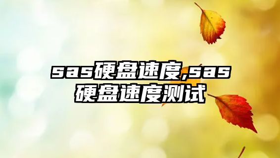 sas硬盤速度,sas硬盤速度測試